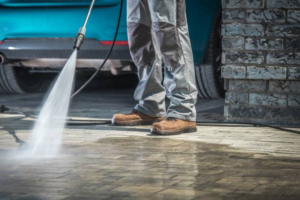 Best Roof Washing  in Clifton, TN